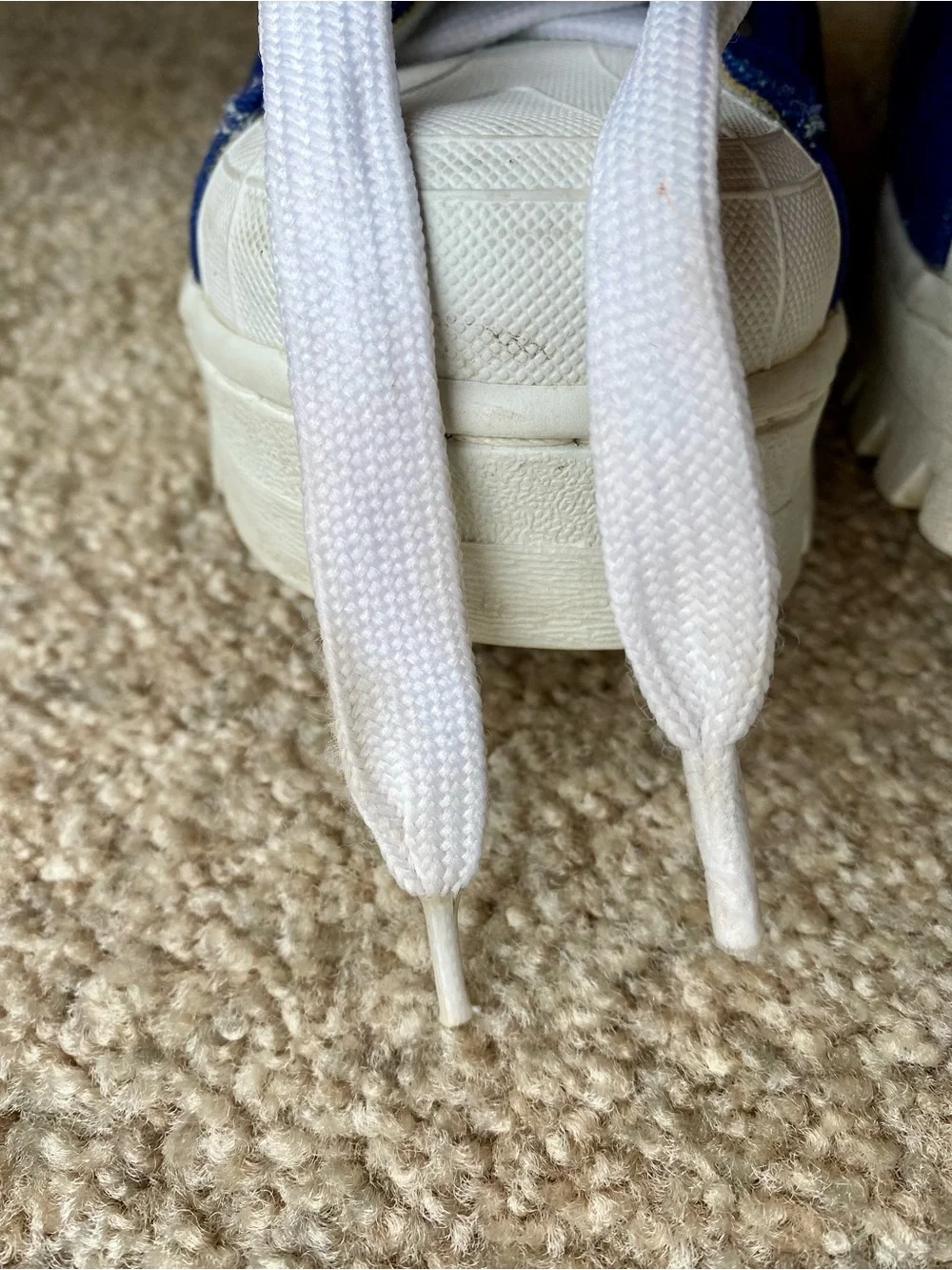Skechers vintage canvas